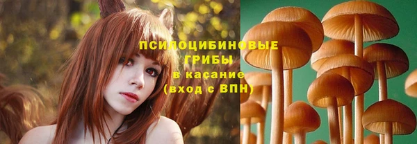 таблы Покровск