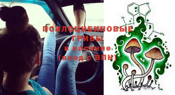бошки Покров