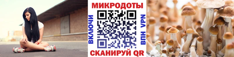 Псилоцибиновые грибы Magic Shrooms  Туапсе 