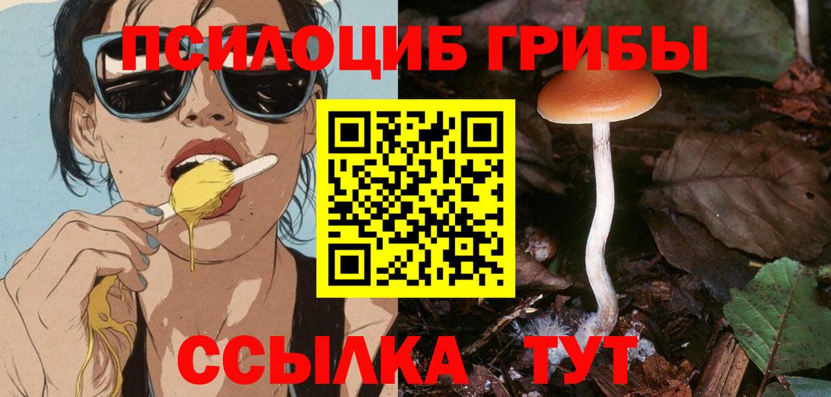 Туапсе  Псилоцибиновые грибы Psilocybine cubensis  Вход с VPN  Псилоцибиновые грибы мицелий 